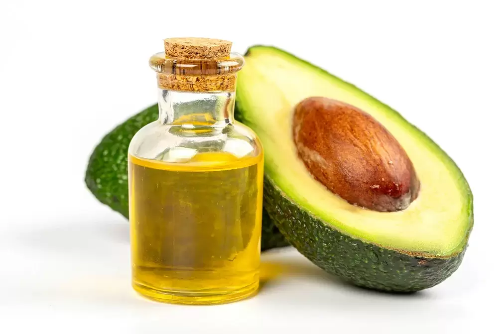 Huile d'avocat dans le cadre de la crème ZXCVBNQWERT